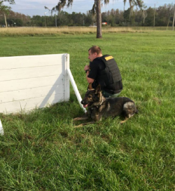 K9 titan training during a PSO Traning day